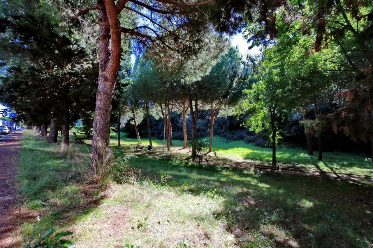 Aurelia Relax Apartment روما المظهر الخارجي الصورة